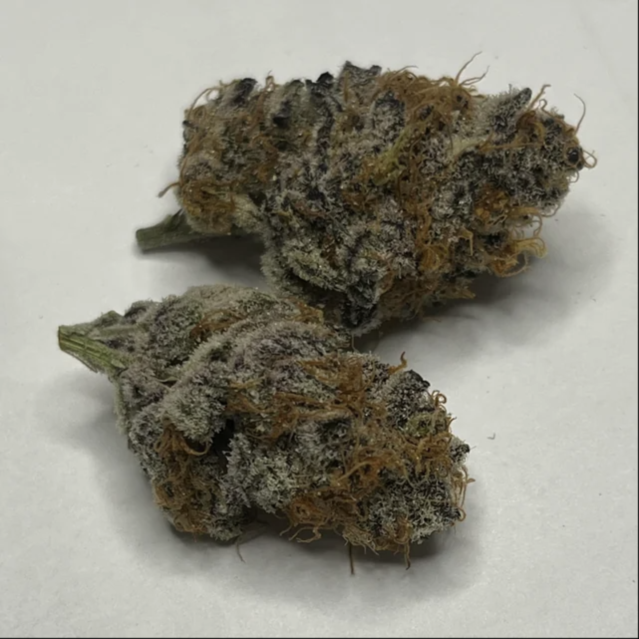 /storage/photos/1/Screenshot 2024-04-17 at 7.07.14 PM.png